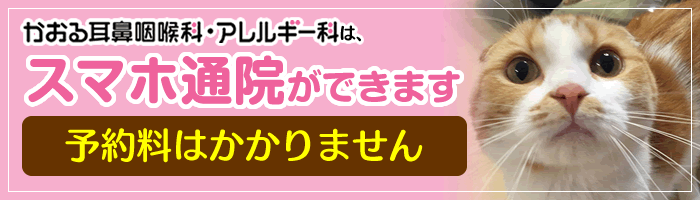 スマホ通院できます