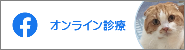 オンライン診療