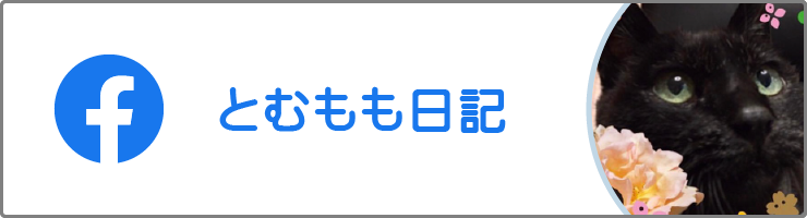 とむもも日記